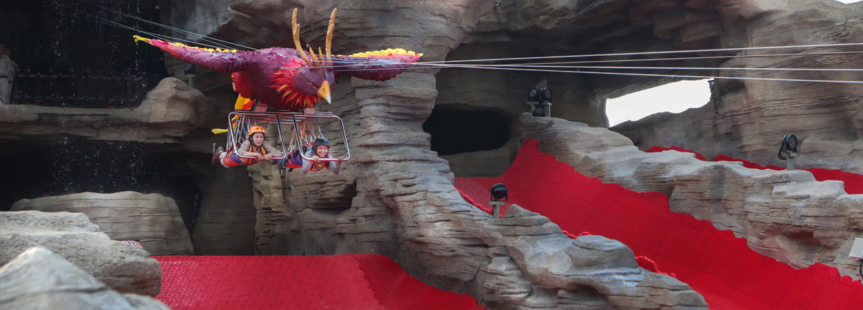 20260211_Skyward Project_Web Insertion banner